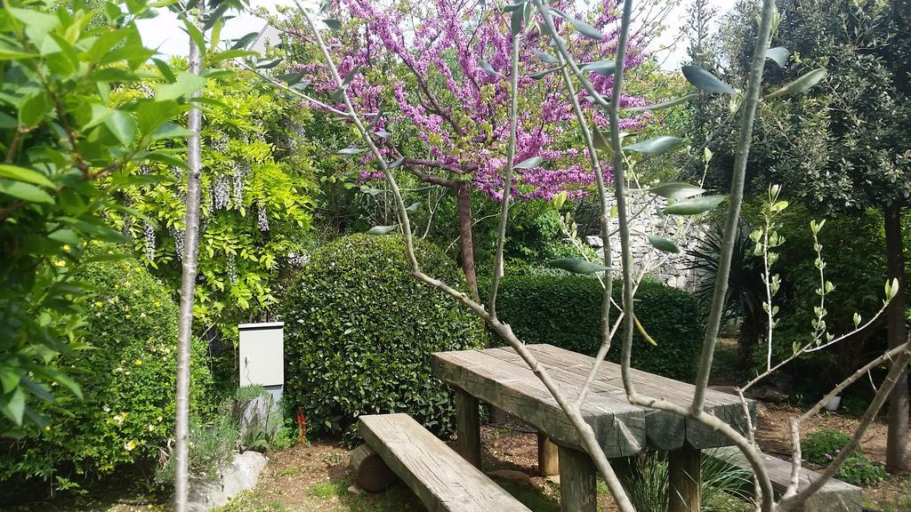 Holiday Home Arboretum Szybenik Zewnętrze zdjęcie